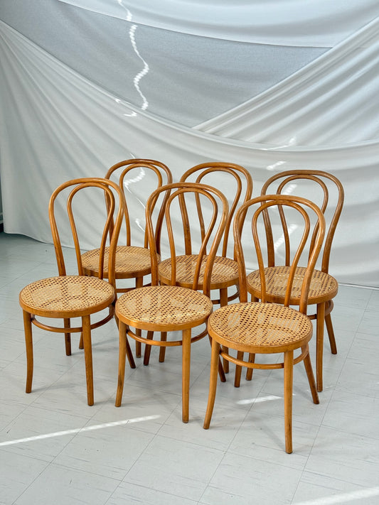 ZPM Radomsko bentwood chairs with cane seats