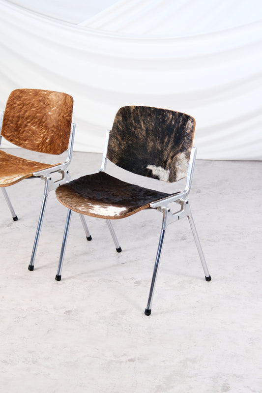 DSC 106 Chair by Giancarlo Piretti for Castelli
