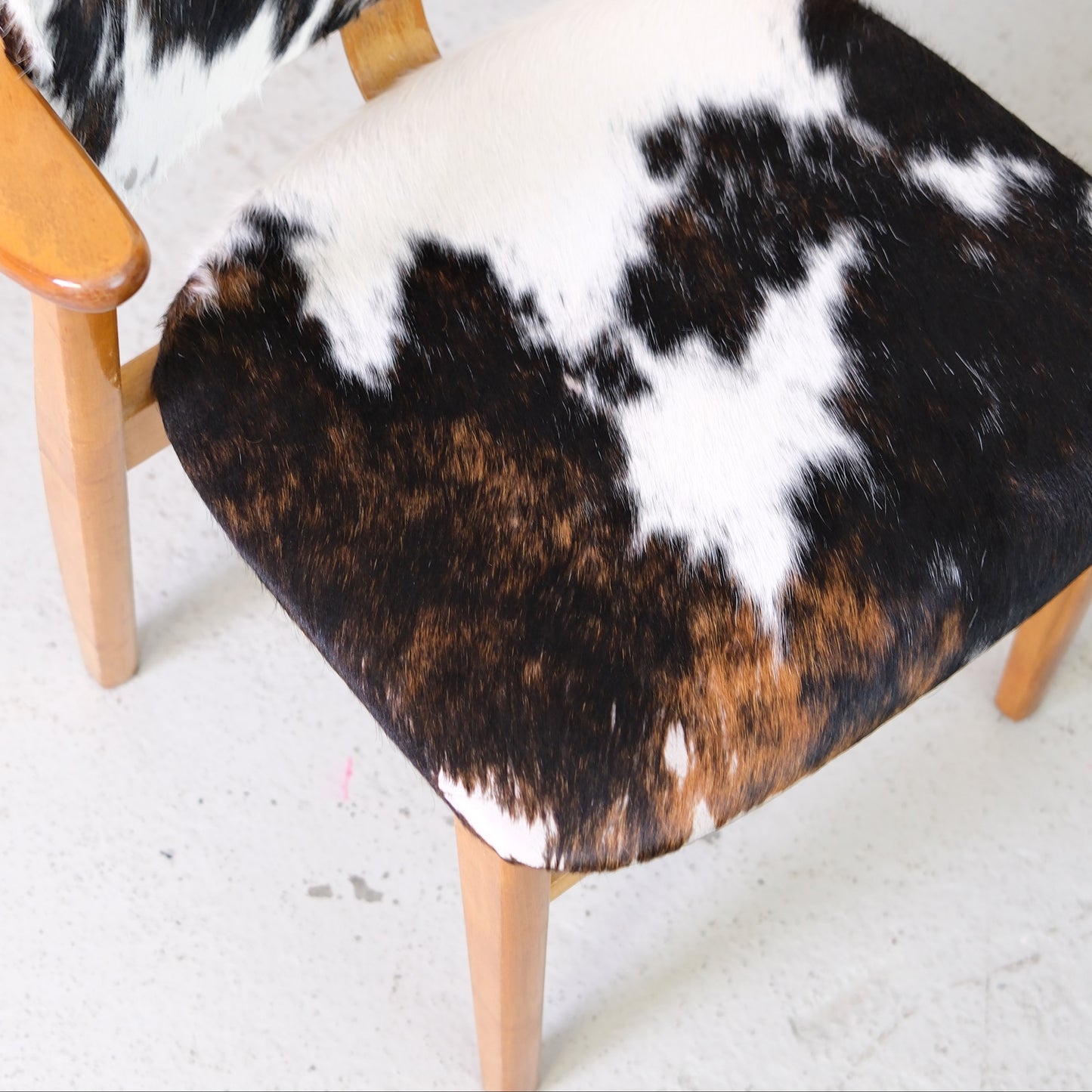 Ilmari Tapiovaara Domus Chairs with Cowhide Upholstery